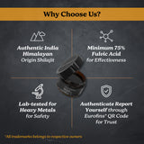 Himalayan Shilajit Resin 30 gm